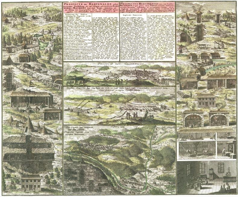 Prospecte des Harzwaldes