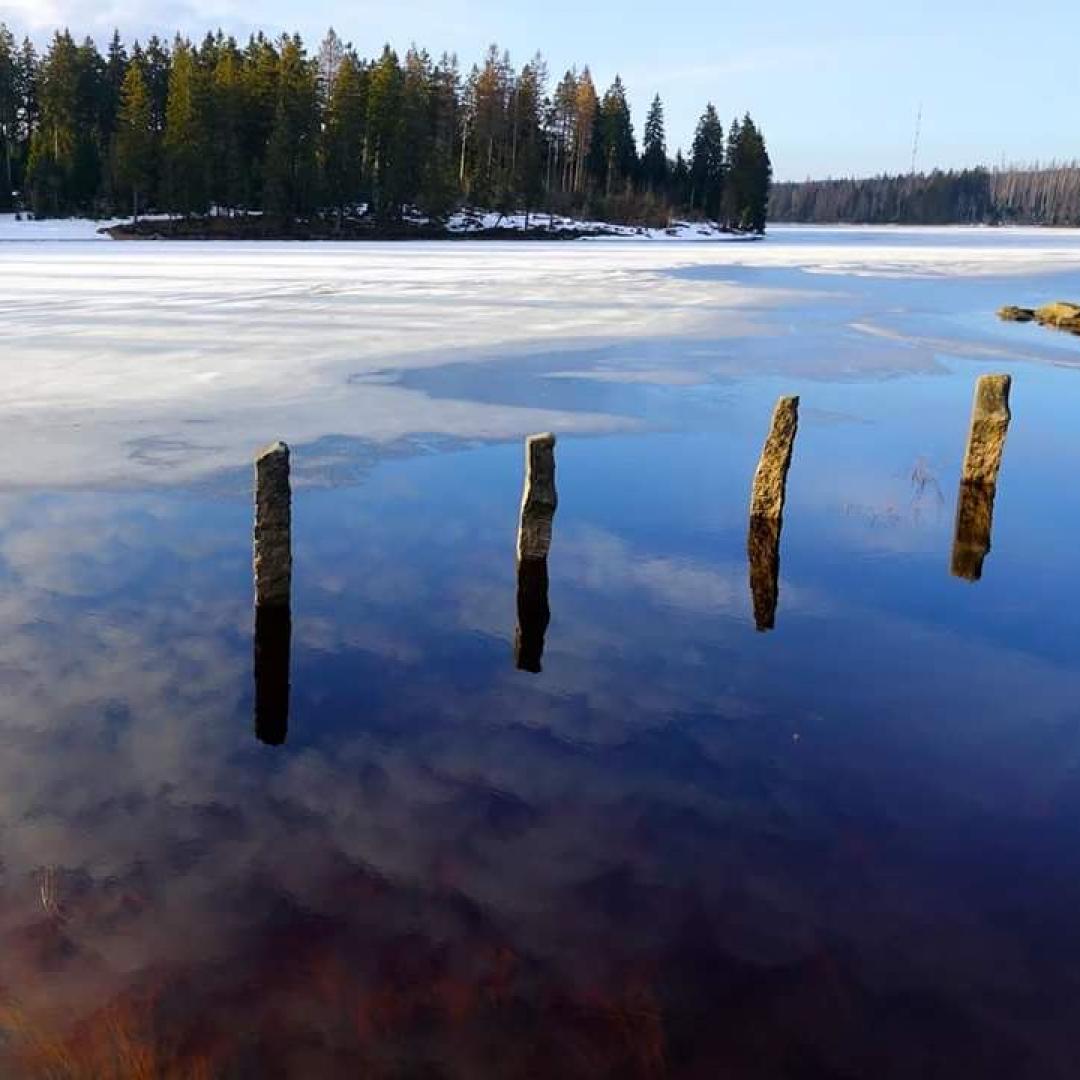 Eisabweiser am Oderteich im Winter